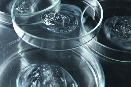 Petri dishes with samples on black table, closeupの写真素材