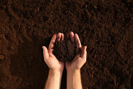 Man holding pile of soil outdoors, top viewの写真素材