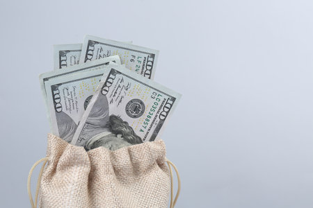 Dollar banknotes in bag against gray background, closeup. Space for text
