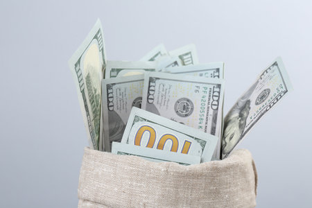 Dollar banknotes in bag against gray background, closeup