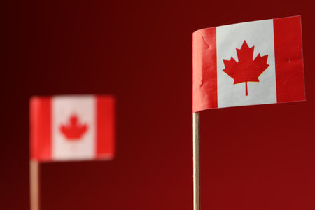 Small paper flags of Canada on red background, selective focus. Space for textの写真素材