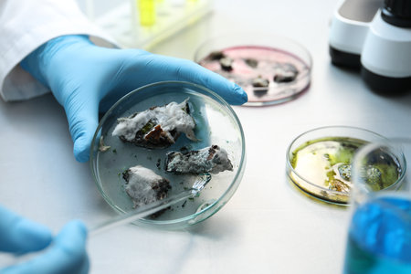 Laboratory worker researching sample in petri dish at light table, closeup