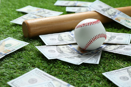 Baseball ball, bat and dollar banknotes on green grass outdoorsの写真素材