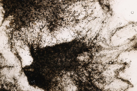 Sample of bacteria culture as background, macro viewの写真素材