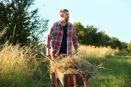 Farmer with wheelbarrow full of mown grass outdoorsの写真素材