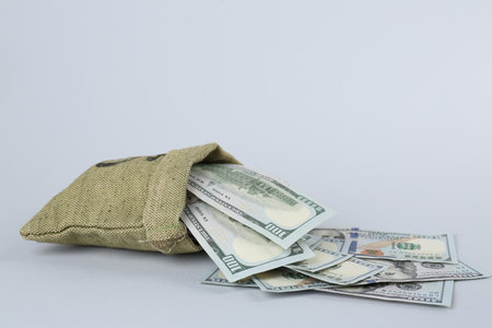 Dollar banknotes in bag on grey background