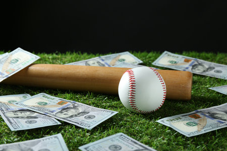 Baseball ball, bat and dollar banknotes on green grassの写真素材