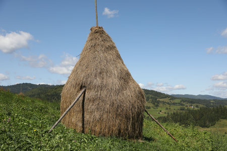 Pile of hay on field under blue skyの写真素材