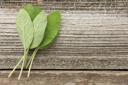 Fresh sage leaves on wooden table, top view. Space for textの写真素材