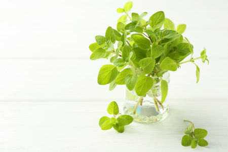Sprigs of fresh green oregano in glass jar on white wooden table, space for textの写真素材