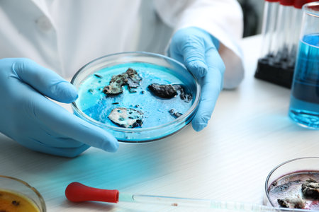 Laboratory worker holding petri dish with sample at white table indoors, closeupの写真素材