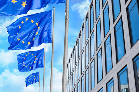 Flags of European Union near building outdoors