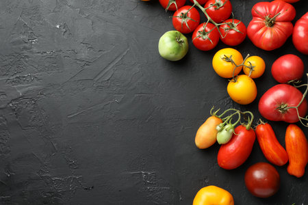 Different fresh tomatoes on gray textured table, flat lay. Space for textの写真素材