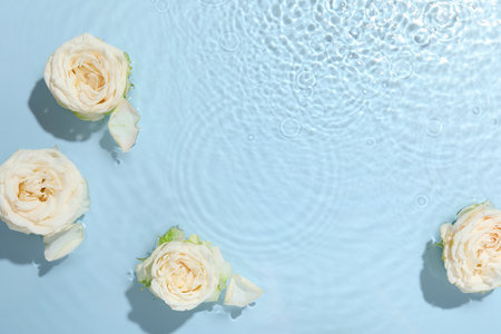 Beautiful rose flowers in water on light blue background, top view. Space for textの写真素材