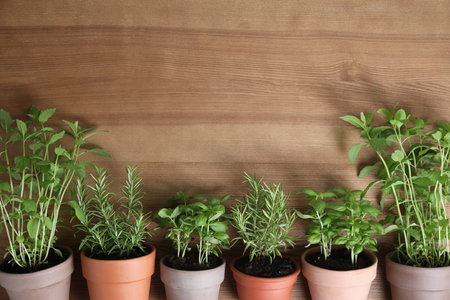 Different herbs growing in pots on wooden background, flat lay. Space for textの写真素材