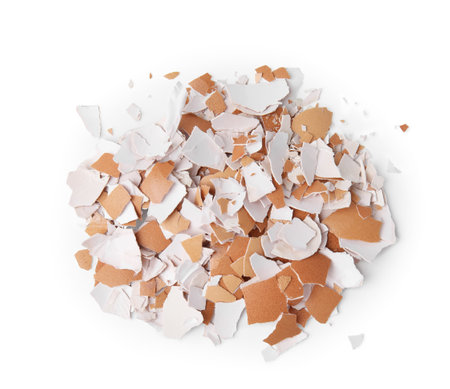 Pile of broken eggshells isolated on white, top viewの写真素材