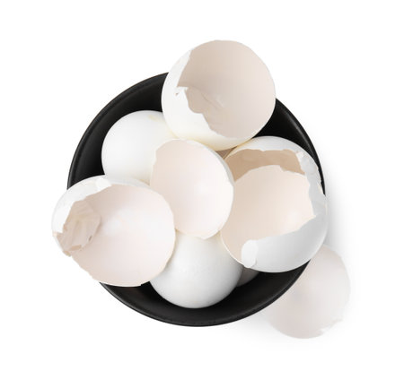 Broken eggshells in bowl isolated on white, top view
