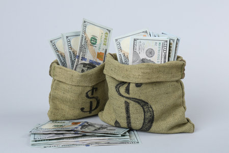 Dollar banknotes in bags on grey backgroundの写真素材