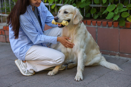 Owner with cute Golden Retriever dog outdoors, closeupの写真素材