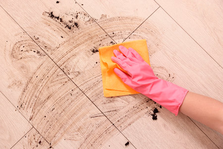 Woman cleaning dirt on wooden floor, closeupの写真素材