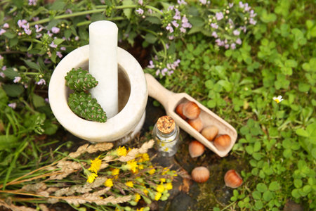 Different ingredients for tincture, mortar and pestle outdoors, top viewの写真素材