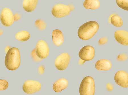 Fresh potatoes in air on gray backgroundの写真素材