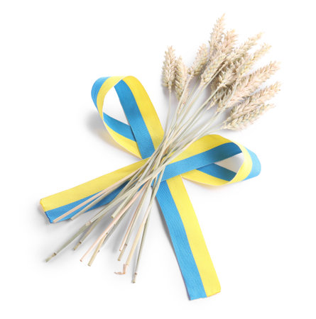 Ears of wheat with ribbon in colors of Ukrainian national flag isolated on white, above viewの写真素材