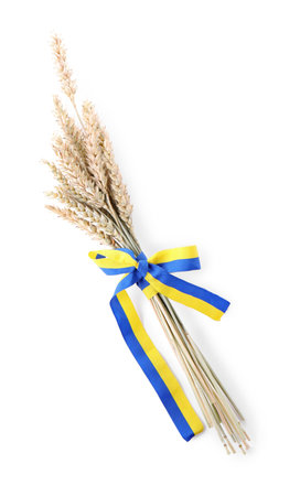 Ears of wheat with ribbon in colors of Ukrainian national flag isolated on white, top viewの写真素材