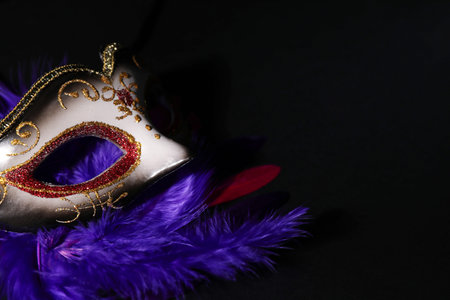 Beautiful carnival mask and bright feathers on black background, closeup. Space for textの写真素材