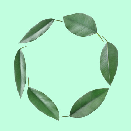 Frame of green leaves on aquamarine backgroundの写真素材