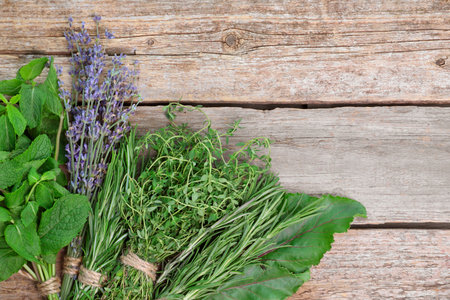 Different aromatic herbs on wooden table, top view. Space for textの写真素材