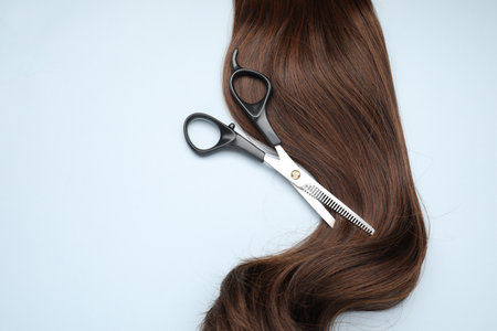 Brown hair strand and professional scissors on light grey background, top view. Space for textの写真素材