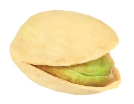 One tasty pistachio nut isolated on whiteの写真素材