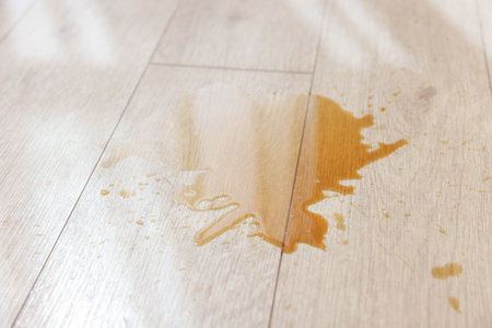 Puddle of spilled drink on wooden floor, closeupの写真素材