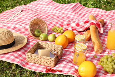 Different snacks and juice for picnic on checkered blanket outdoorsの写真素材