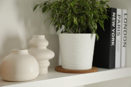 Ceramic vases, books and houseplant on shelving unitの写真素材