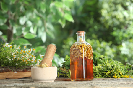 Natural tincture in bottle and herbs on wooden table outdoorsの写真素材
