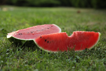 Cut juicy watermelon on green grass outdoorsの写真素材