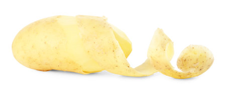 One young potato with peel isolated on whiteの写真素材
