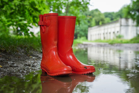 Red rubber boots in puddle at rainy day, closeupの写真素材
