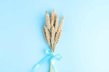 Ears of wheat with ribbons in colors of Ukrainian national flag on light blue background, top viewの写真素材