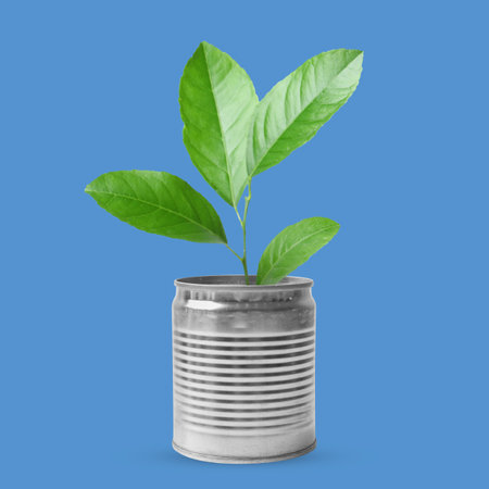Seedling with green leaves growing from tin can on blue background. Recyclingの写真素材