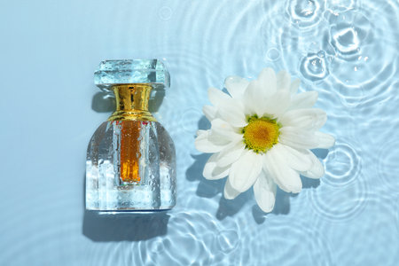 Beautiful daisy flower and perfume bottle in water on light blue background, flat layの写真素材