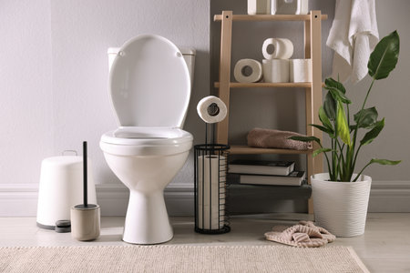 White toilet bowl, paper rolls and houseplant in bathroomの写真素材
