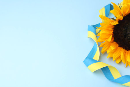 Sunflower with ribbon in colors of Ukrainian national flag on light blue background, space for textの写真素材