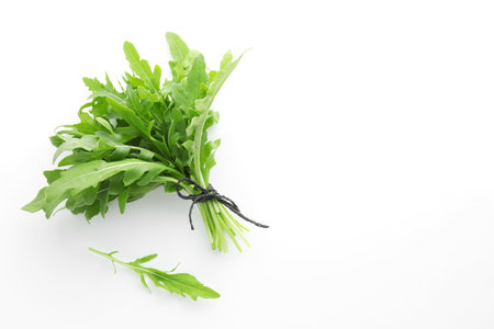 Fresh green arugula leaves on white background, flat lay. Space for textの写真素材