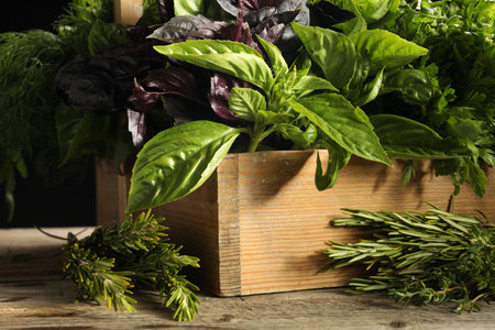 Different aromatic herbs in crate on wooden table, closeupの写真素材