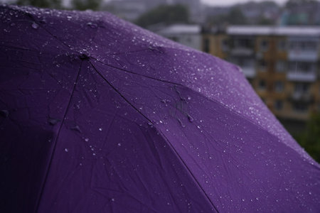 Open purple umbrella outdoors on rainy day, closeupの写真素材