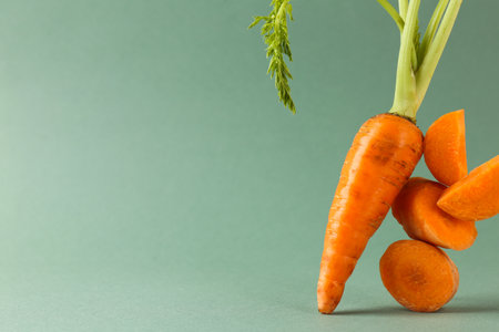 Whole and cut fresh carrots on green background, space for textの写真素材