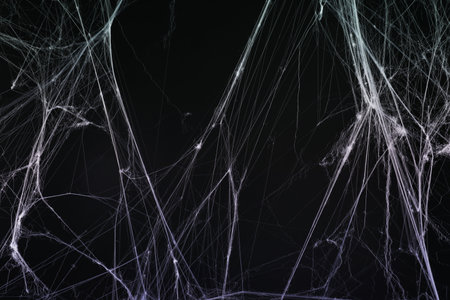 Cobweb against black background, toned in gradient violet colorの写真素材